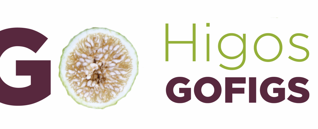 GO HIGOS organiza en Almoharín el 3 de julio su nuevo Workshop sobre herramientas innovadoras de recolección y de primera manipulación del higo