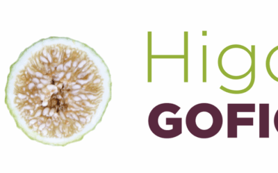 GO HIGOS organiza en Almoharín el 3 de julio su nuevo Workshop sobre herramientas innovadoras de recolección y de primera manipulación del higo