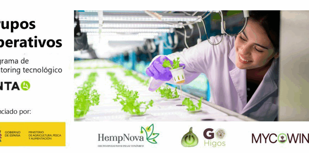 CNTA vuelve a impulsar el avance tecnológico de tres Grupos Operativos en torno a la sostenibilidad y la Calidad y Seguridad Alimentaria 4.0