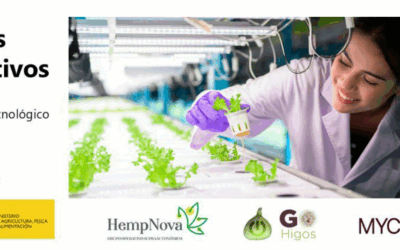 CNTA vuelve a impulsar el avance tecnológico de tres Grupos Operativos en torno a la sostenibilidad y la Calidad y Seguridad Alimentaria 4.0