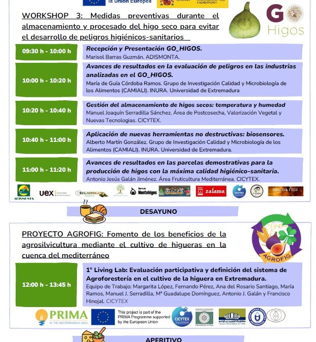 GO HIGOS celebra su tercer workshop en Plasencia el 4 de Diciembre centrado en el almacenamiento y procesado de higos secos