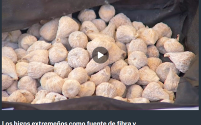 Los higos extremeños como fuente de fibra y minerales para nuestro organismo